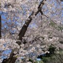 금산정미소 이미지