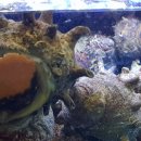 회센타포장전문점 이미지