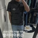 신세계인터내셔널(자 | 할리데이비슨 컬렉션스 - 2026ss 카모 티셔츠 추천및 솔직 담백 후기