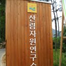 큰빛자연생태어린이집 이미지