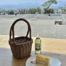 섬섬하우스 | 다카마쓰 나오시마 섬 지중미술관, 베네세하우스 여행 후기