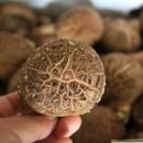 화영농장 이미지