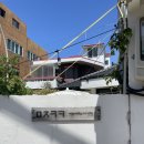 두남목장 | 제주 미주크크 목향장미가 있는 아이와 함께 사진찍기 좋은 카페