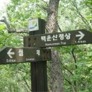 동강백운산 민박 이미지