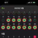 다이아짐 영천점 | 영천동 PT 동탄2 헬스 다이아짐 영천점 내돈내산 후기