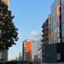 스마트호텔 | 일본 도쿄 닛포리 호텔 / 알몬트 호텔 닛포리 스마트 싱글룸 후기