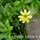 20. 8. 9 한길교회 주일예배 이미지