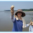 2017년6월17일 맑음 - 독산해수욕장 ( 조개잡이 ) 이미지