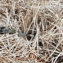 봉담호수공원 이미지