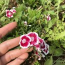 찬우물농장 이미지