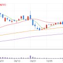 11/4 추천종목(휴비스) 이미지