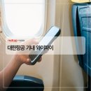 기내항공여행사 이미지