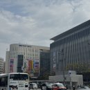 우동1로 | 하카타역 마키노우동 맛집 후기 현지인도 줄서는 우동집