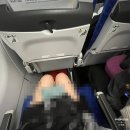 7175 | 부산에서 세부 비행기 에어부산 BX7175 내돈내산 탑승 후기, 가격, 기내식 , 지연여부