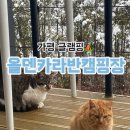 가평 남이섬 근처 애견동반 글램핑 올덴카라반캠핑장 내돈내산 후기