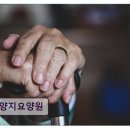 양지교통(주) | 용인시 요양원 추천! 양지요양원 조용한 환경과 편안한 돌봄 제공