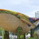 국제자매도시공원 이미지