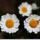 서있는 사람 이미지