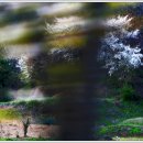 죽산 사우나 이미지