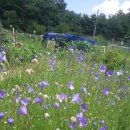 옥주농장 이미지