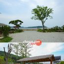 서해안오토 이미지