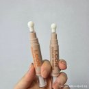 치크버스트 네이버블로그