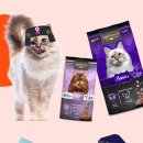 나투어리베 이미지