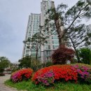 정관동원로얄듀크2차 이미지