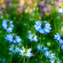 효자한의원 이미지