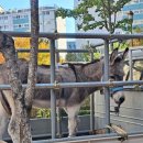 하늘꿈어린이집 놀이터 이미지