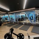 프리미엄 운동 공간에서 느끼는 특별함! 동탄 헬스장 후기로 보는 진짜 경험