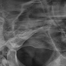 랜드마크치과의원 이미지