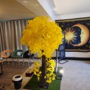 합성동254 | 창원타로 꼼꼼한 상담이 마음에 들었던 묘재의타로