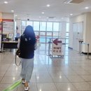 다래전김밥 | 🚡 사천케이블카 내돈내산 후기 (+ chak 할인, 쿠팡이용권)