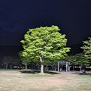 무궁화공원화장실(운동장) 이미지