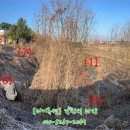 덕목보건진료소 이미지