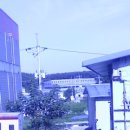 군하영양탕 이미지