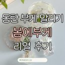 오산동 동탄CGV부근 | 본식 부케 말리기 꿀팁, 동탄 부케 말리기는 어디서? 봄에부케