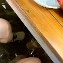 계곡속의동화 | 공주 계곡 평상, 동화속풍경 평상대여 후기