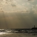 사람 그리고 새 이미지