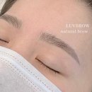 럽브로우