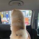 팔각산민박 | 영덕 옥계 독채펜션 [팔각산 펜션, 죽림원]