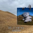 디럭스짐 | 경주 혼자 여행 1인 숙소 현호텔 경주 디럭스룸 후기 짐 보관 무료