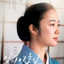 일일시호일