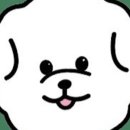 히포파통 네이버블로그
