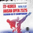 와동태권도 이미지