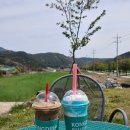 콩드립로스터스 이미지