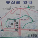 고창김밥 이미지