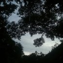 새방골산방 이미지