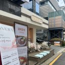 [솔직후기] 강남블랙카츠로 유명한 ‘호미호식’ 강남본점 - 내돈내산